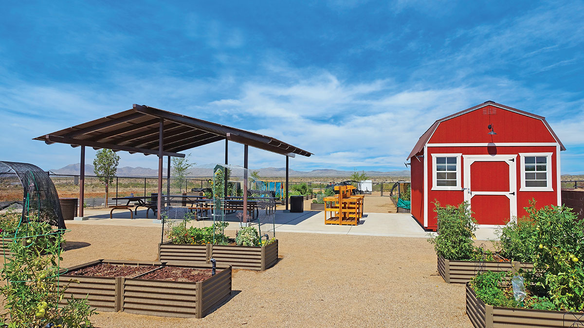 Community Garden